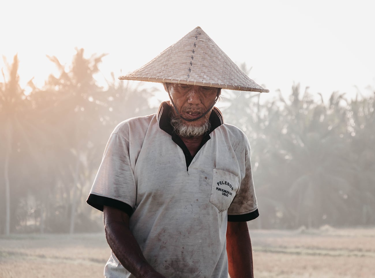 travailleur dans une rizière à bali