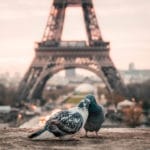 Photowalk Paris Mars 2019