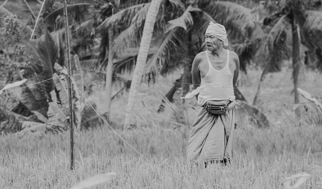 man in rice field photographie