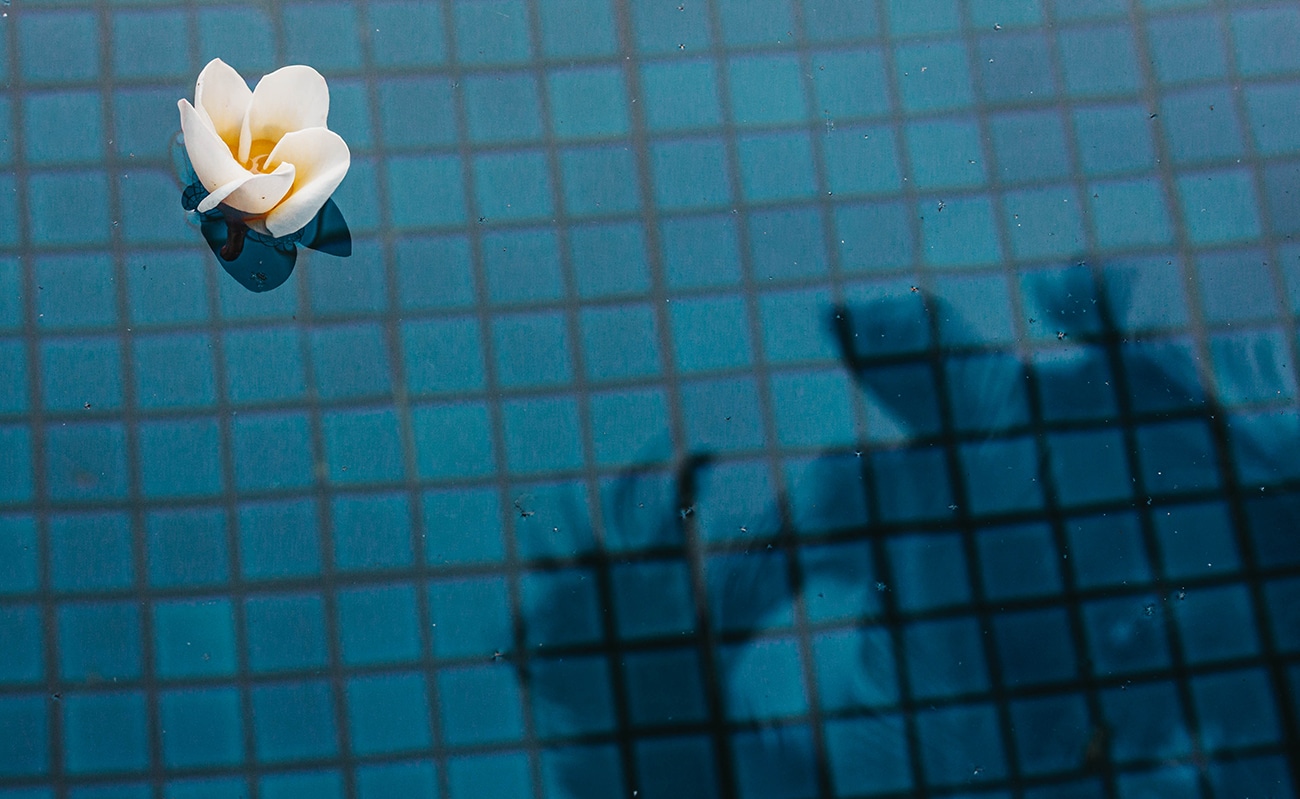 fleur de tiaré blache dans une piscine à bali